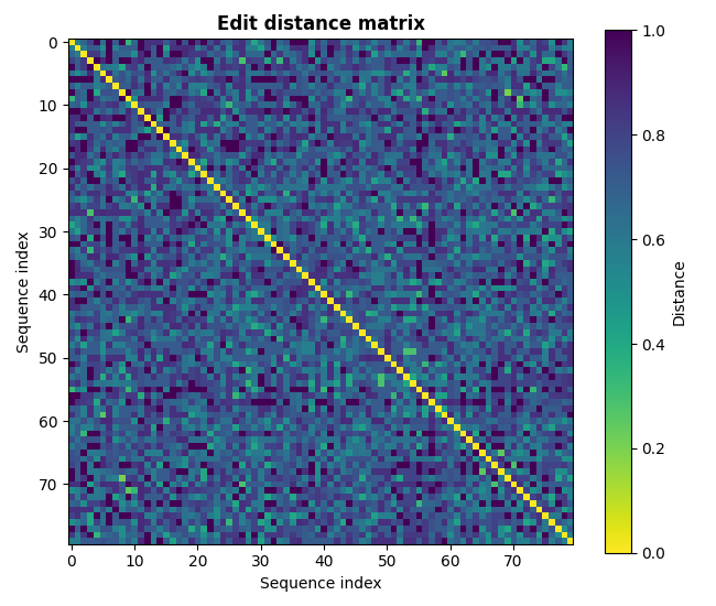 Edit distance matrix