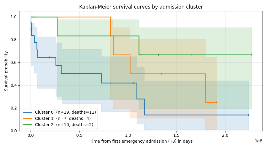 Kaplan-Meier survival curves by admission cluster